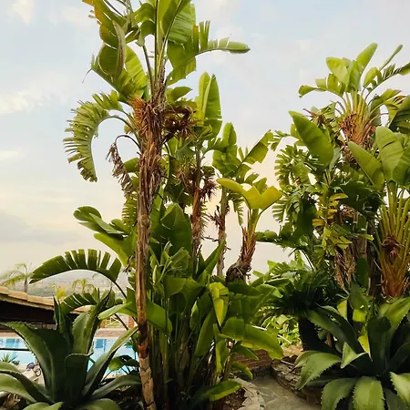 Sole E Luna Bed & Breakfast