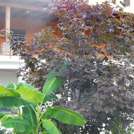 Bed & Breakfast Sole E Luna Palermo