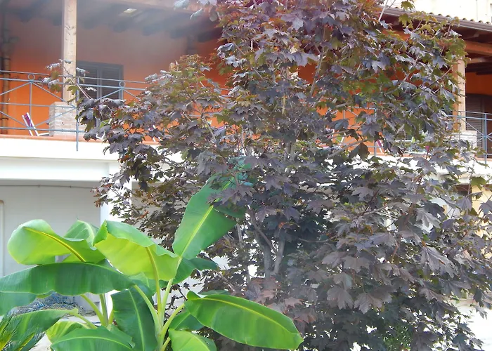 Bed and breakfast Sole E Luna Palermo