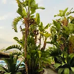 Sole E Luna Bed & Breakfast